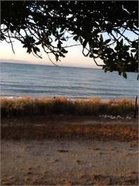 TATA TREAT - Golden Bay
