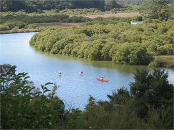 Anac Cottage - Whangarei