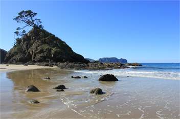 Shearers Quarters - Great Barrier Island