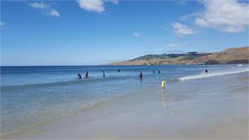 Merleivan - Otago