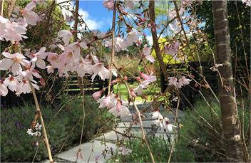 Birdsong Retreat, Bay of Islands, Northland - Kerikeri