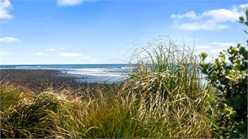 Coastal Daze (Bachcare) - New Plymouth