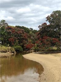 Oakura Bay Absolute-Beachfront Holiday Home - Northland