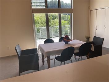 Sun Ray House- Whataupoko, Gisborne. - Gisborne