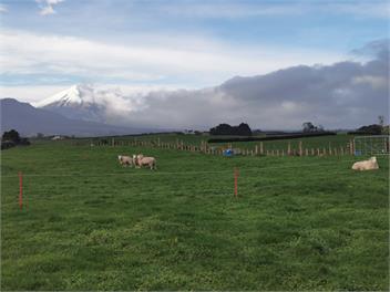 Country Living on Surfhighway 45 - new plymouth
