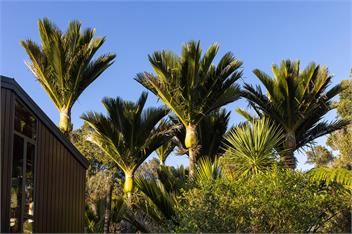 Punakaiki Forest Retreat - Punakaiki