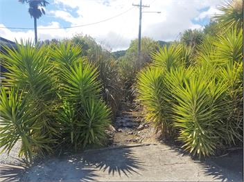 Cement Workers Cottage - Golden Bay