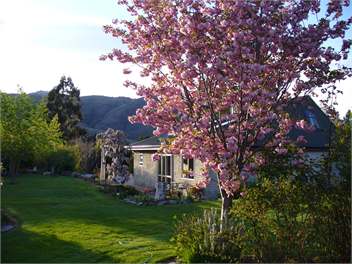 Dunstan View Cottage - Cromwell 