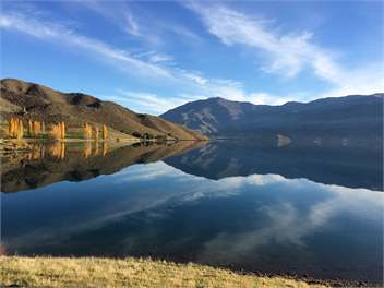 Black Forest Accommodation - Eight Houses just 40 minutes from LAKE TEKAPO - Lake Tekapo