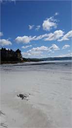 Merleivan - Otago