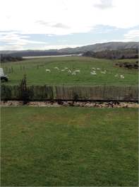 Catlins Lake View - Owaka