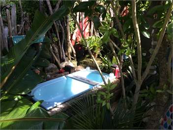The Little Shed - Tairua