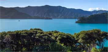 Kenepuru - Great Deck view and Easy Access to Secluded Beach - Marlborough Sounds