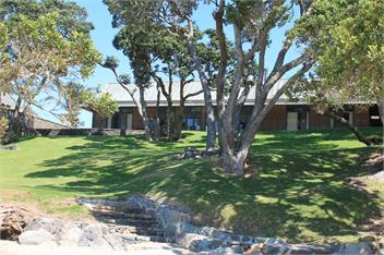 Airlie - Mangonui