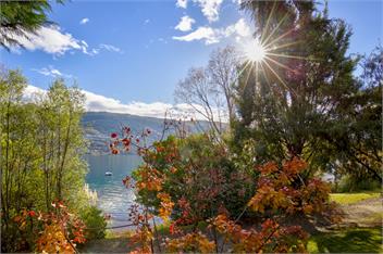 Five Nine Five Kelvin Heights Queenstown - Queenstown
