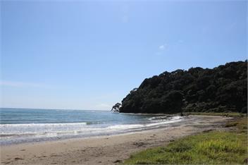 Oceanside Apartments 3 - The Bach at the Back - Opotiki