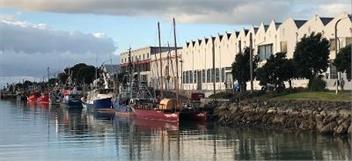 MAISON BLUE - Chic & Elegant Apartment Pet Friendly - Napier