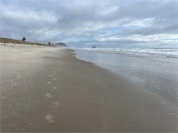 Home away from home - Mount Maunganui