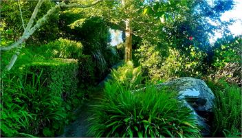 Montrose Pet Friendly Heritage Beach House - Dunedin