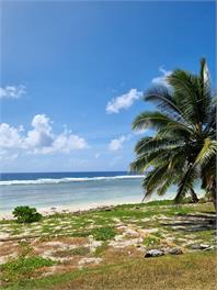 Ocean Beach Bach Rarotonga - Rarotonga