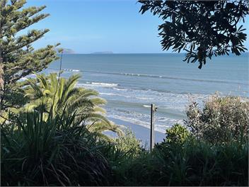 Rustic in Raumati - Paraparaumu