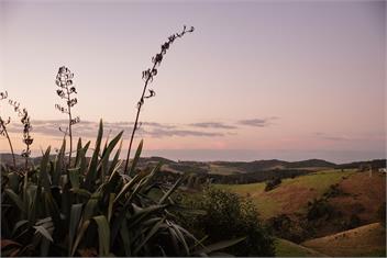 Rustic Rural Cabin Retreat with Spa – Ngunguru - Ngunguru