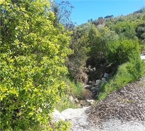 Cement Workers Cottage - Golden Bay