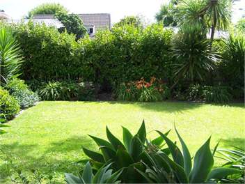Remuera B&B at your Fingertips - Auckland
