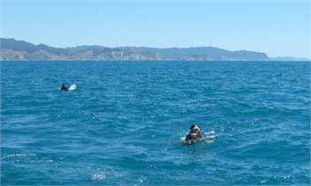 Anaura Bay - East Coast
