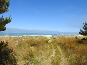 Okau Station Beach Retreat , Mataikona road - Masterton