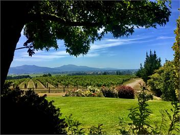 BROOKBY RIDGE COTTAGE - Wow! Take a look at those views... - Blenheim
