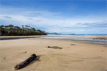 Surfinn Eco Cottage (Bachcare) - Papatowai