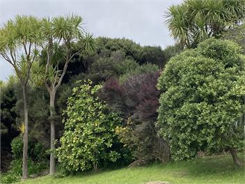 Spectacular Coastal Property - Kaitaia