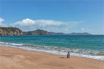 Beach Daze (Bachcare) - Tauranga Bay