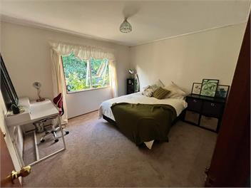 Tuis nest - Bay of Islands