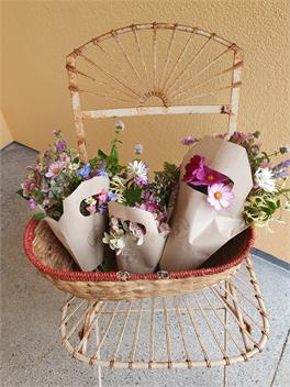 Keri Blue Chair B&B - breakfast free - Kerikeri