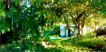 Montrose Pet Friendly Heritage Beach House - Dunedin