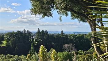 On Top of the World - Tauranga
