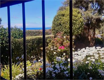 Montrose Pet Friendly Heritage Beach House - Dunedin