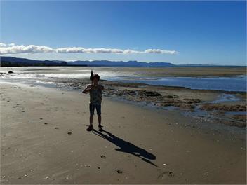 Golden Bay Log Cabin - Takaka