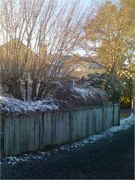 Arwen - South Island