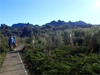 Shearers Quarters - Great Barrier Island