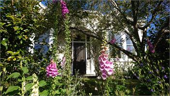Sunny Elegant Villa - Dunedin
