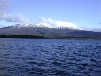 The Trout House  - Turangi