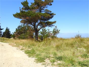Okau Station Beach Retreat , Mataikona road - Masterton