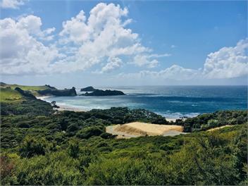 Deep Blue Haven - Great Barrier Island