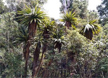 Twin Oaks Lodge - Ohakune