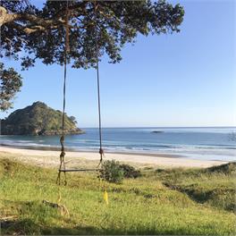 The Pohutukawa Bach, Medland's Beach - Great Barrier Island