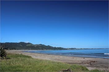 Oceanside Apartments 3 - The Bach at the Back - Opotiki