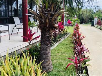 Tonga Holiday Villa - Nuku'alofa